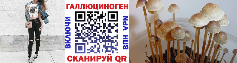 купить наркотики цена  Ворсма  Псилоцибиновые грибы прущие грибы 