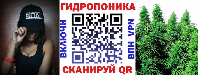 Бошки марихуана THC 21%  Ворсма 